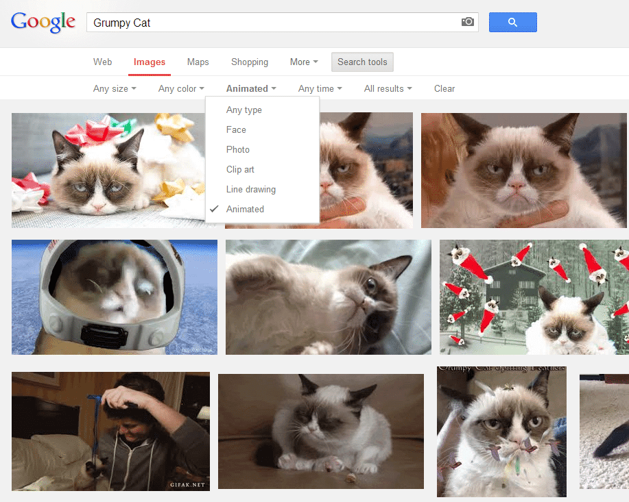 Google Adds Search for Animated Gifs